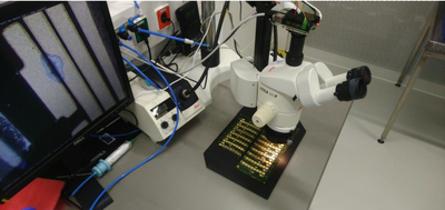 Visual Inspection